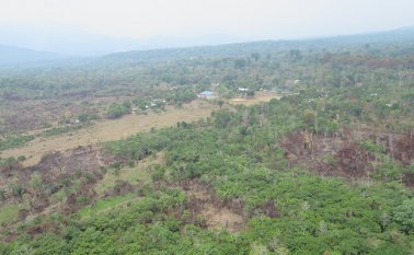 En 2016 Norte de Santander ocupó el cuarto puesto como departamento con mayor índice de deforestación. Archivo