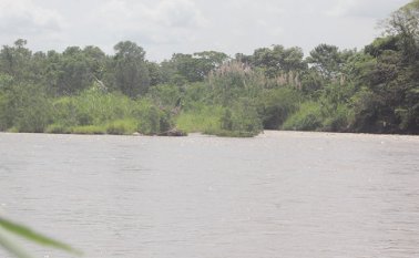 El hombre fue hallado en esta isla del río Zulia, en la vía a Astilleros. La Opinión