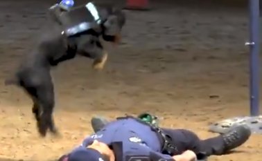 Captura video Twitter