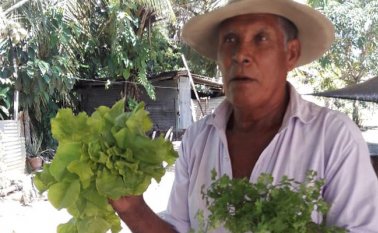 Gilberto Durán, campesino de Banco de Arena, sostiene las hortalizas producidas en las huertas, 120 familias fueron beneficiadas por este proyecto en el 2017. Cortesía