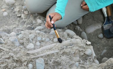 El imperio inca absorbió las culturas chimú y lambayeque. AFP