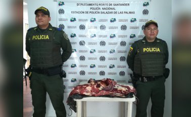Tanto al producto como al carro se les aplicó la medida cautelar de aprehensión, siendo avaluada la carne en más de 2 millones de pesos y el auto en 9 millones de pesos. Policía Nacional