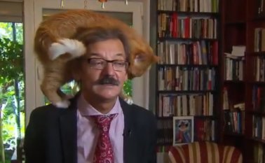 Esta no es la primera vez que los felinos aparecen en una entrevista con el historiador. Captura video Twitter