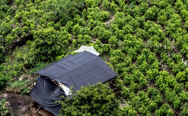 La Dijín y el Ejército se internaron en las selvas del Chocó con el objetivo de capturar a hombres del Eln. Colprensa