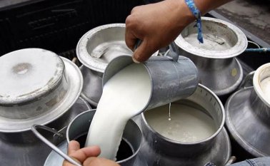 No se percibe un beneficio para esta decisión. Internet