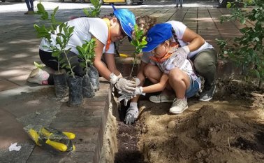 La plantación también se aprovechó para abonar un centenar de árboles del parque con el fin de buscar su florecimiento y mejorar su estado. César Obando