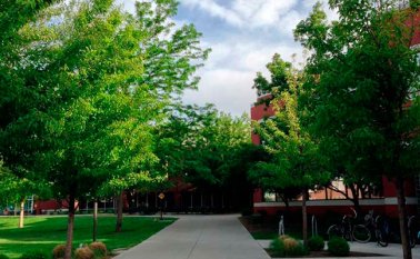 Cada vez hay más urbanización y demanda por los espacios recreativos. Internet