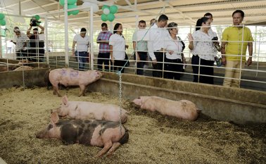 Esta iniciativa tuvo una inversión 950 millones de pesos. Cortesía