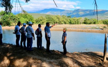 Cortesía para La Opinión 
