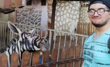 Facebook Mahmoud A. Sarhan