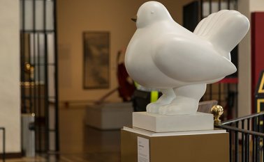 ‘La paloma de la paz’ de Fernando Botero llega al Museo Nacional de Colombia. Colprensa