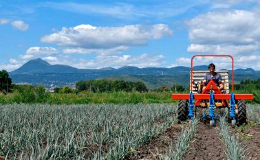 La innovación, las nuevas tecnologías y la agricultura sostenible son algunos desafíos trazados para garantizar la seguridad alimentaria. AFP