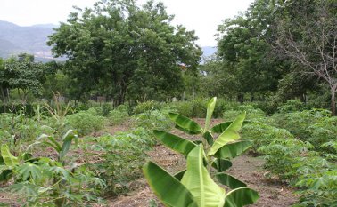 “Todos los árboles, el agua, el suelo fértil y los peces que la Tierra puede aportar en un año” se habrá consumido al terminar este año. AFP