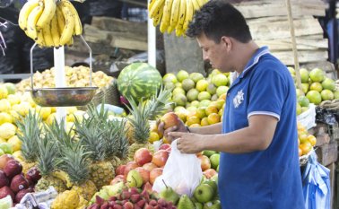 El IMAE toma como base 11 indicadores que contienen información directa o indirecta sobre actividades claves de la economía de Norte de Santander. Archivo