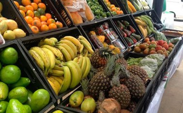 Tener una alimentación saludable ayuda a generar resistencia y protección a enfermedades neurodegenerativas. Colprensa