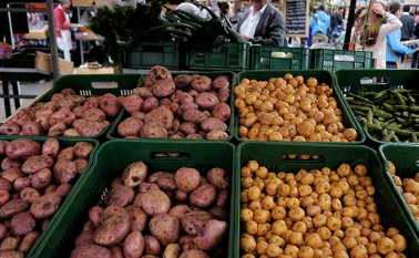 Es la más baja registrada en este periodo en los últimos 15 años. Colprensa