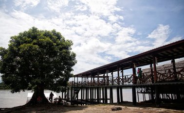 Una sola temporada de sequía en la selva amazónica puede reducir la absorción de dióxido de carbono del bosque durante años. Colprensa