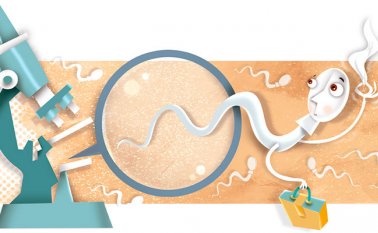 Se ha encontrado 560 proteínas del espermatozoide que están involucradas en la modulación de la expresión génica. Colprensa