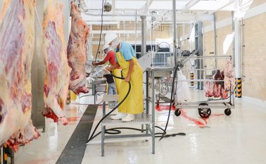 Una buena parte de los animales que se sacrificaban en esas plantas se trasladaron a la informalidad. Archivo La Opinión