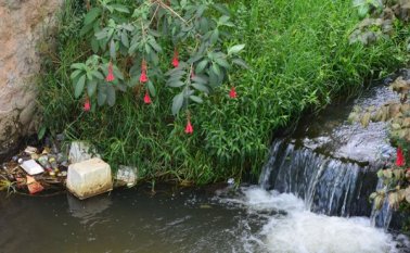 La meta es sumar unas 5 mil personas a la limpieza. Archivo La Opinión