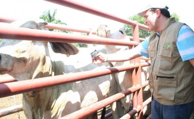 El ministro Andrés Valencia quiere que el ICA se dedique solo a mantener la sanidad animal y vegetal y evaluar los trámites que se tienen que hacer en la entidad.  Archivo