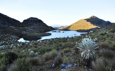 El tema de la delimitación no debe ser taxativo o radical al momento de la aplicación de la ley. La Opinión
