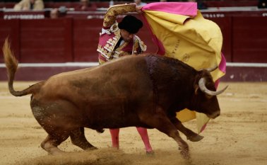 La ponencia del caso está en manos de los magistrados Antonio José Lizarazo y José Fernando Reyes Cuartas. Colprensa