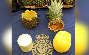 Las piñas estaban "perfectamente vaciadas y rellenas con cilindros compactos de cocaína". AFP