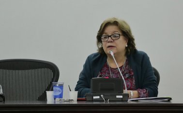 La ministra de Justicia, Gloria María Borrero, defendió la propuesta. Colprensa