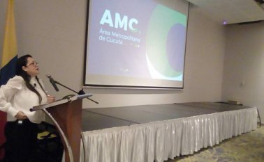 Varios alcaldes se pronunciaron sobre el tema.  Internet