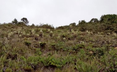 Santurbán es, según el director de la entidad, Gregorio Angarita, el mayor motivo de unión y lucha de los santanderes. Cortesía