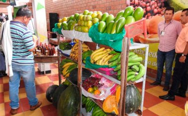 Productores de Arboledas se reunieron con diferentes asociaciones para entablar mercados regionales. Cortesía