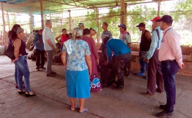 El Sena capacitó a los agricultores del proyecto de caña panelera en la creación de silos, estructuras que serán utilizadas para conservar semillas y otros productos derivados de la caña que producirán en los corregimientos. Cortesía