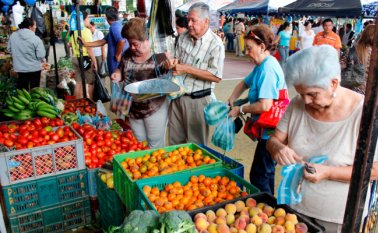 Este proyecto benefició a 50 mujeres víctimas del conflicto armado. Cortesía