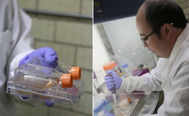 El propósito de la investigación es generar una nueva vacuna porque las actuales utilizan moléculas llamadas adyuvantes que ocasionan alteraciones. Tomada de Twitter @IPN_MX