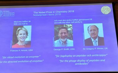 Allanaron el camino para la producción de nuevos materiales o biocarburantes más limpios. AFP