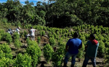 Luis Robayo / La Opinión 