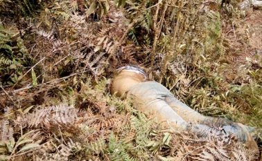 Freddy Jhovanny Angarita González. Cortesía