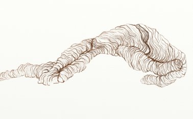 Producto de una investigación en Charalá (Santander), surgió la propuesta artística sobre la producción algodonera y el papel de la mujer. Cortesía