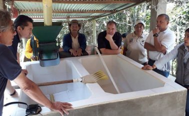 Las empresas de EE.UU y Reino Unido pagan un poco más por la carga de café que compran en Toledo, Labateca y Chitagá, sobretodo, por las características especiales del grano que se cultiva en Norte de Santander. Cortesía