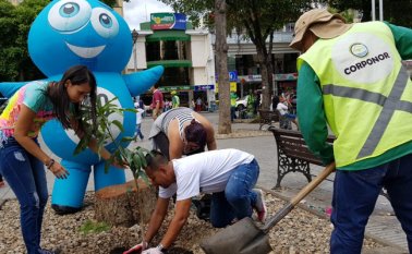 La idea es plantar especies nativas, tanto frutales como ornamentales. Cortesía
