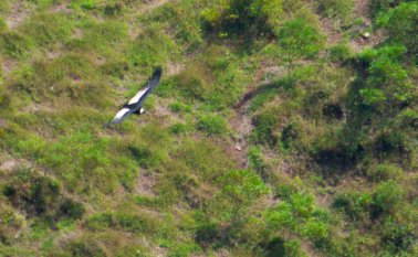 Es común ver este espectáculo en la zona de Tencalá. Cortesía