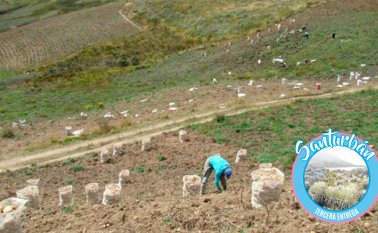 Tercera entrega del informe. Archivo y Cortesía