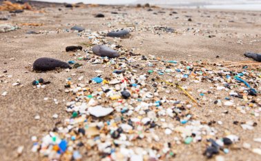 La producción global de plástico supera actualmente los 400 millones de toneladas por año. Internet