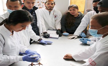 La reciente puesta en marcha de la Clínica Veterinaria entró a fortalecer el programa.
Unipamplona