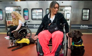 La empresa detectó que las personas con este tipo de discapacidades y sus familias no podían moverse libremente en este medio. Internet