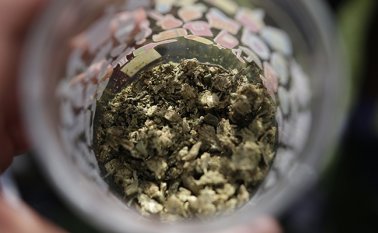 El decreto establece que la Fuerza Pública debe realizar incautaciones de dosis mínima y sancionar a quienes posean sustancias sicoactivas.  Colprensa