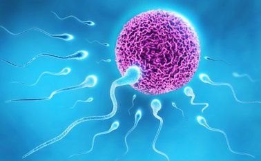 Además, cambia el comportamiento social e interfiere en el cumplimiento de las actividades diarias. Internet