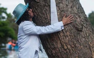 Los novios y novias eligieron a sus respectivos árboles de los bosques de Palermo de la ciudad porteña. Facebook