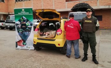 También, se efectuó la captura de un presunto responsable. Cortesía / Polfa